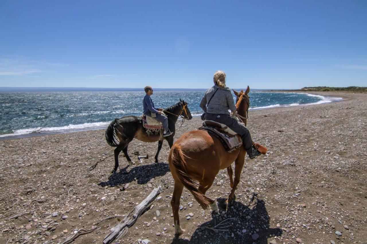 Estancia La Serena Perito Moreno Kültér fotó